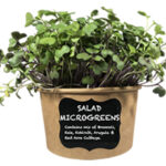 Cat_microgreens_