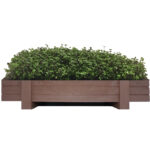 Salad Mix in wooden planter copy