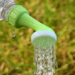 Mini watering spout