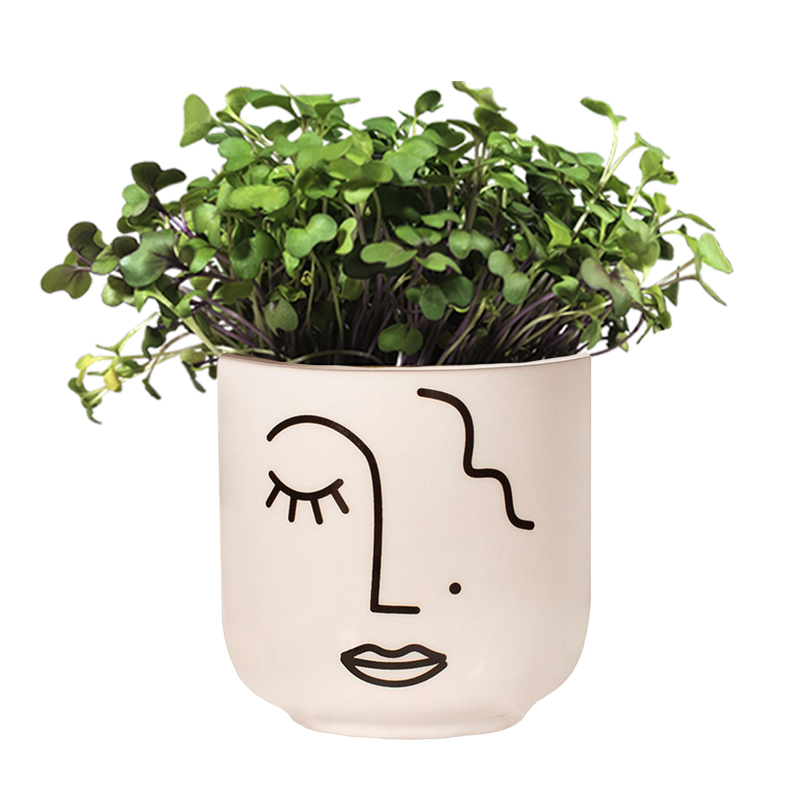 Ceramic pot with microgreens