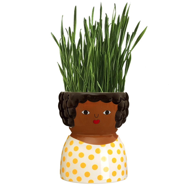 Ceramic pot with wheatgrass