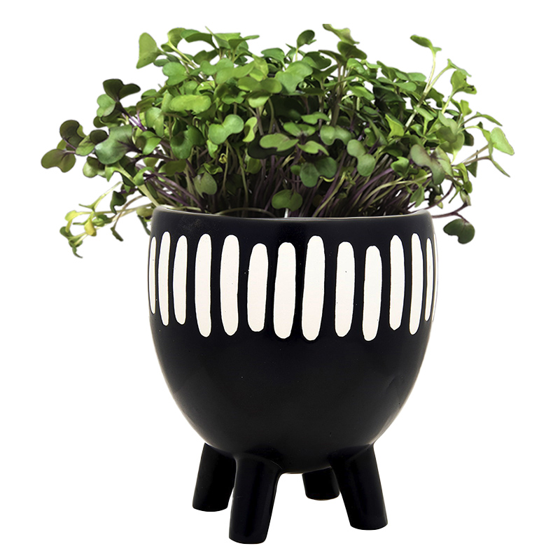 Ceramic pot with microgreens