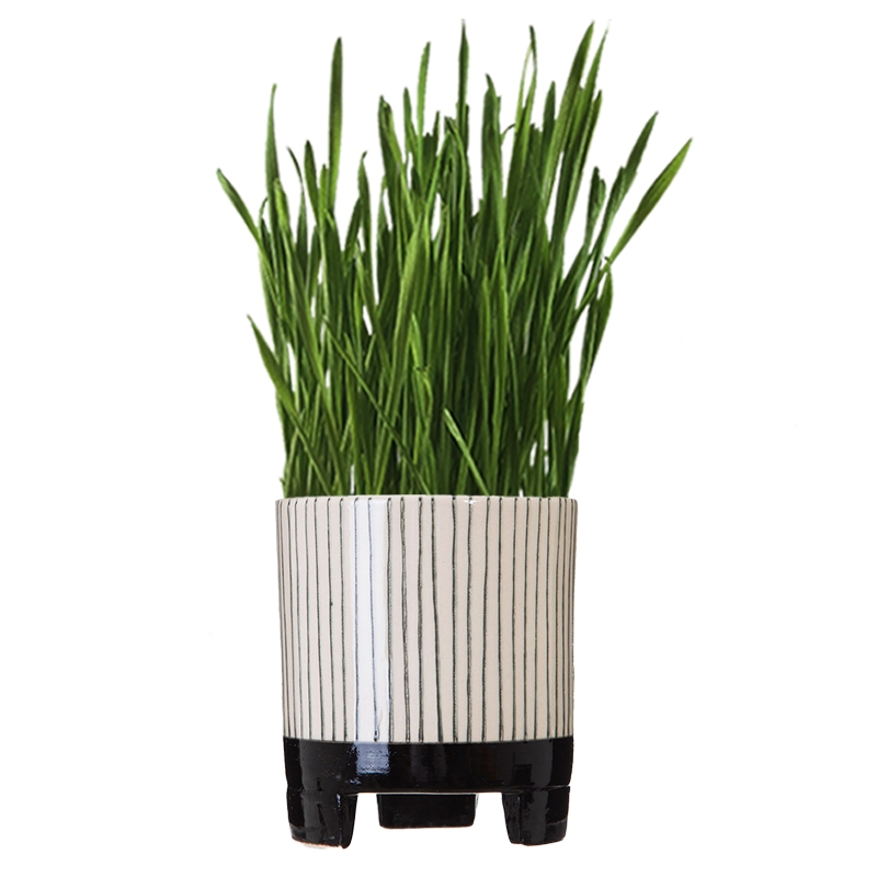 stripe_grass