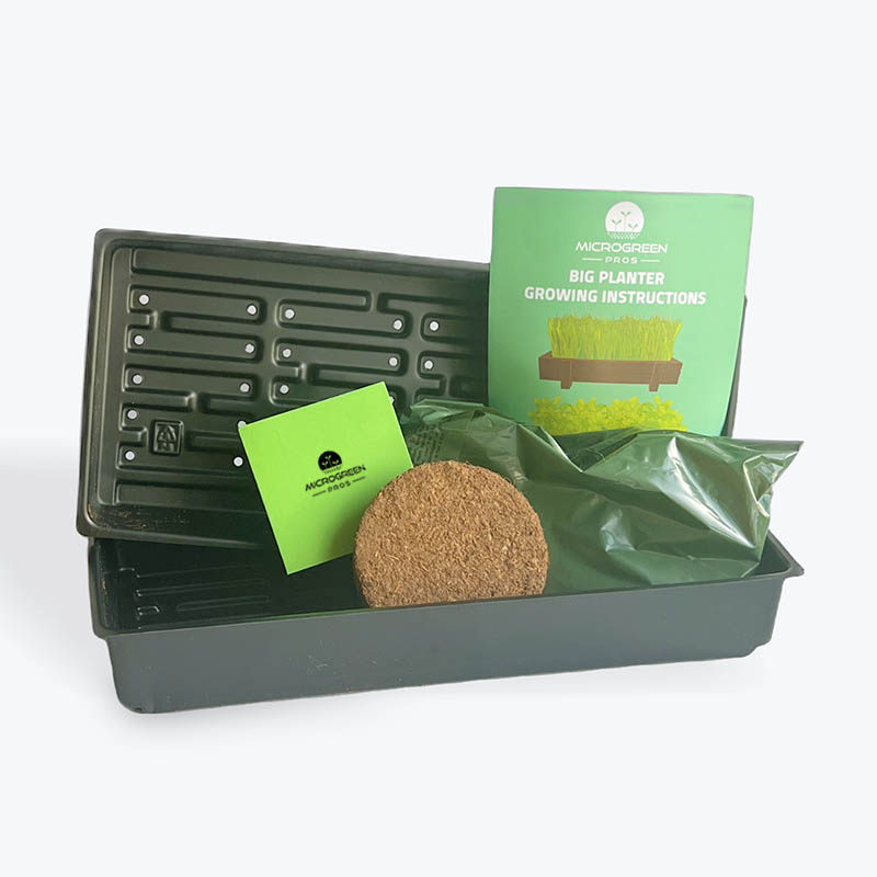 Broccoli Grow Microgreen Tray Kit