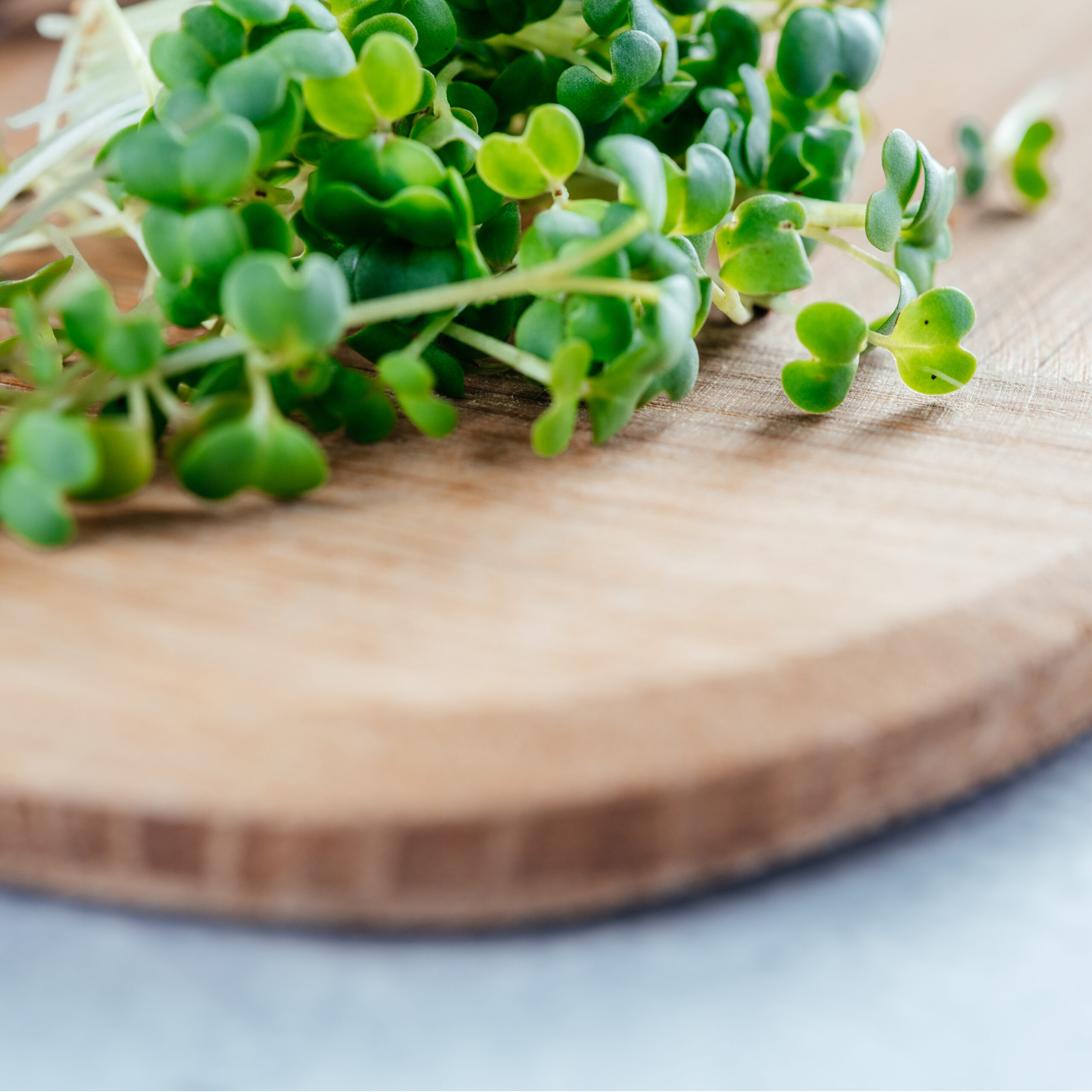 Freshly cut arugula microgreens sprouts on the chopping board in the kitchen